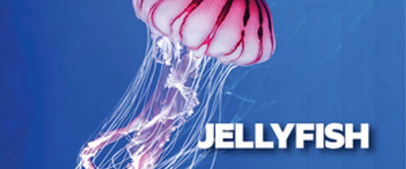 Actor Living With Down Syndrome Will Make Debut in Australian Premiere of JELLYFISH at the New Theatre  Image