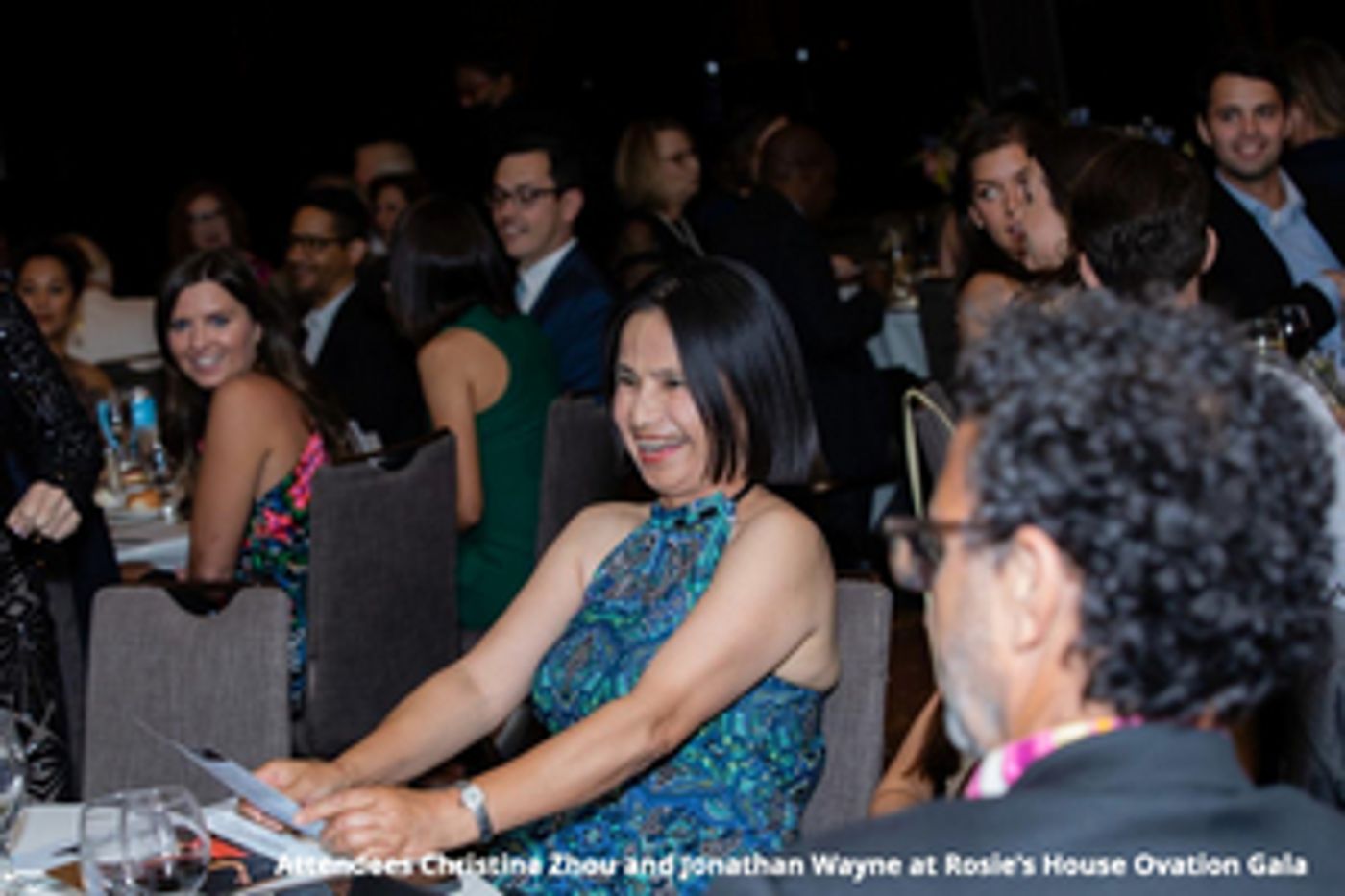 Rosie's House Ovation Gala Raises Record Breaking Funds  Image