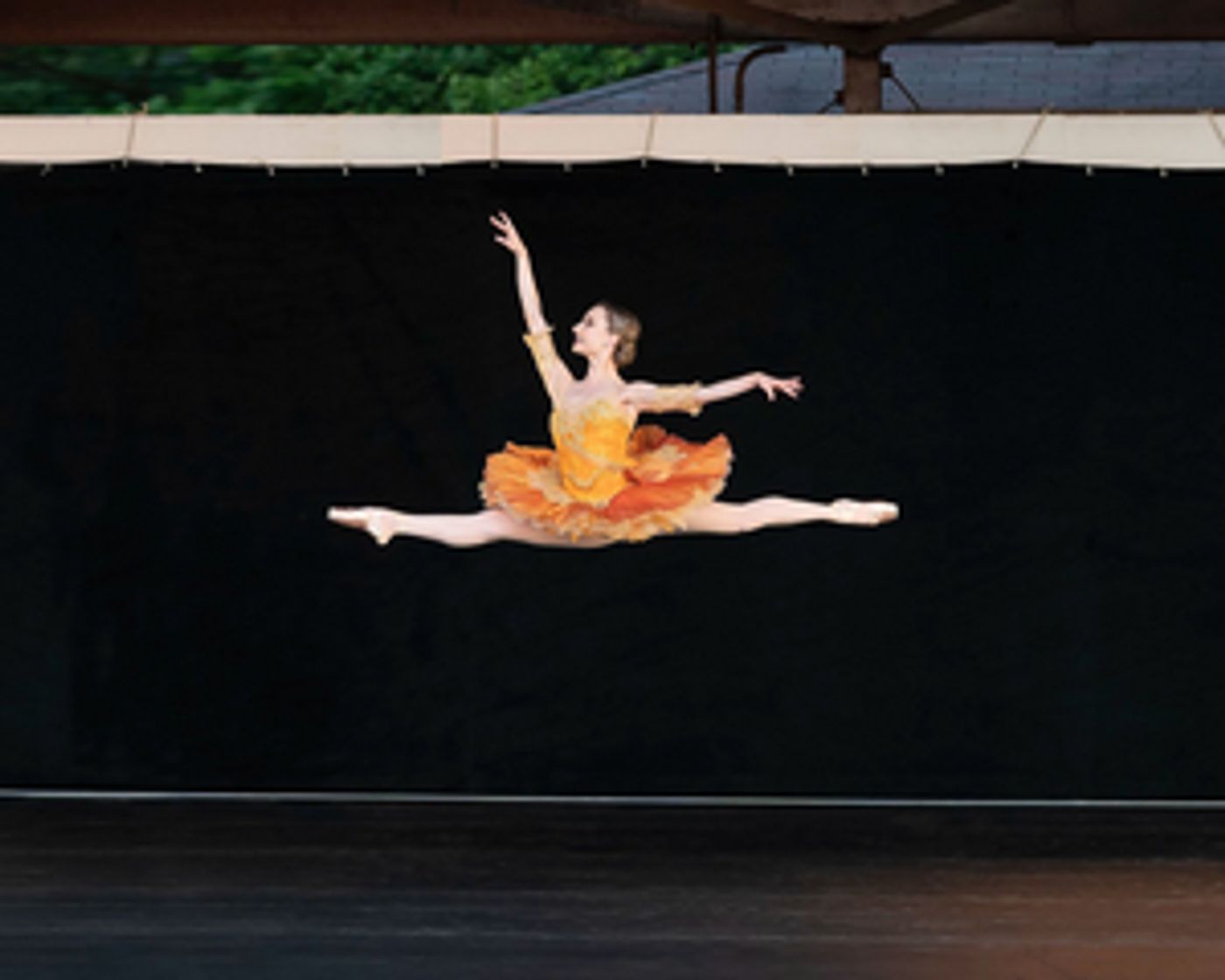 Pittsburgh Ballet Theatre Will Participate In Three Local Outdoor Events This Summer  Image