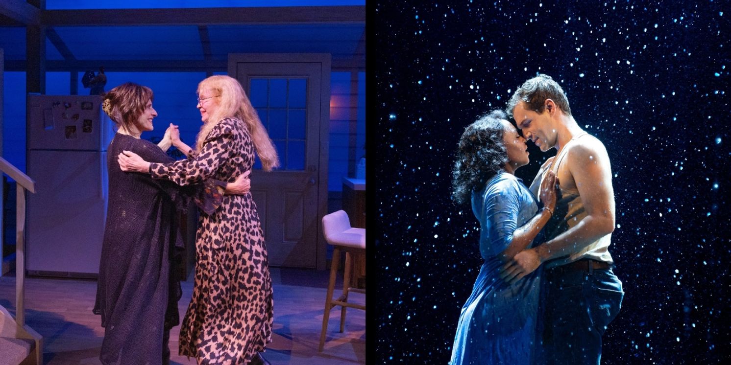 2 Broadway Shows Close Today  Image