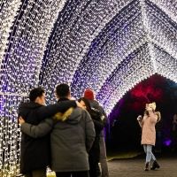 LIGHTSCAPE At Brooklyn Botanic Garden Returns November 16, 2022