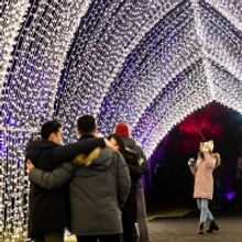 LIGHTSCAPE At Brooklyn Botanic Garden Returns November 16, 2022