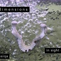 Musiqa Brings WEATHER MODELS to the Stage