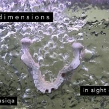 Musiqa Brings WEATHER MODELS to the Stage