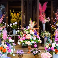 Free West End Performances Comes to The London Coliseum With Broadway Florist boo•kay