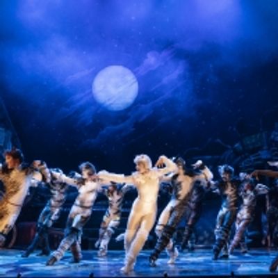 Photos: First Look at the New Company of CATS On Tour