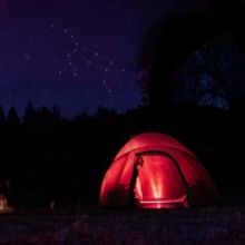 Victory Gardens Theater Returns With QUEEN ON THE NIGHT, Beginning January 29