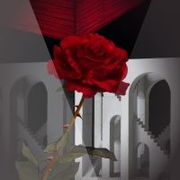 Opera Orlando Announces Student Rush Tickets for RIGOLETTO
