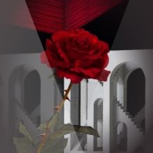 Opera Orlando Announces Student Rush Tickets for RIGOLETTO