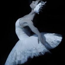 Polina Semionova Will Guest Perform With Birmingham Royal Ballet in SWAN LAKE