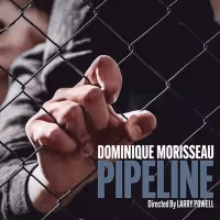 All-Star Cast Records Dominique Morisseau's Compelling PIPELINE For L.A. Theatre…