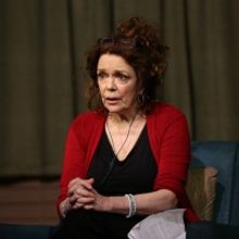 Photo Flash: DANA H. Extends at Vineyard Theatre; Get a First Look!