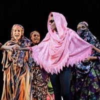 DESERT FLOWER is Now Playing at Theater St. Gallen