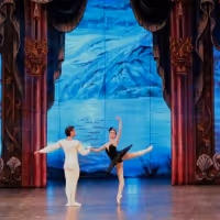 SWAN LAKE Will Be Performed by the Saint Petersburg Ballet at EDP Gran Vía Theater