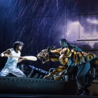 Photos: Get a First Look at LIFE OF PI on Broadway