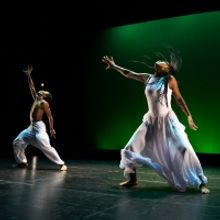 STG Presents 24th Annual DANCE THIS Show