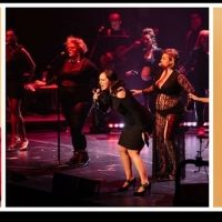 THE GUILTY FEMINIST Comes To The London Apollo Next Month