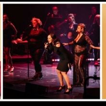 THE GUILTY FEMINIST Comes To The London Apollo Next Month