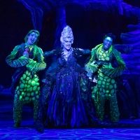 Photos: First Look at DISNEY'S THE LITTLE MERMAID at The Walnut