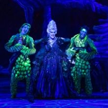 Photos: First Look at DISNEY'S THE LITTLE MERMAID at The Walnut