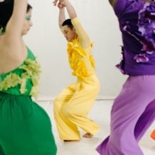 The Seldoms Celebrate Their 20th Anniversary With SUPERBLOOM