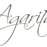 Agarita Brings the Arts to the Community Through Hall Mobile Concert Experience Interview