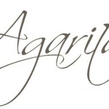 Agarita Brings the Arts to the Community Through Hall Mobile Concert Experience