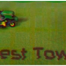 Buntport Theater Company Presents BEST TOWN