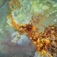 EDWARD BURTYNSKY: AFRICAN STUDIES Now On View At Howard Greenberg Gallery