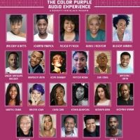 Full Casting Announced For THE COLOR PURPLE Audio Experience: A Benefit for Black…