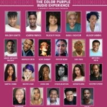 Full Casting Announced For THE COLOR PURPLE Audio Experience: A Benefit for Black Wom