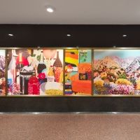 Photos: ART IN FOCUS by Hilary Pecis Now On View at Rockefeller Center