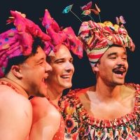 Photos: First Look at TOM, DICK & HARRY at New Vic Theatre, Newcastle-Under-Lyme