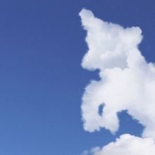 Salzburger Landestheater Presents HEIDI