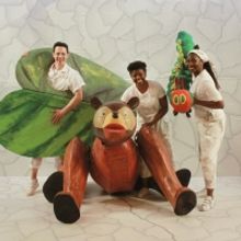 Chicago's Children's Theatre Adds Additional Performances to THE VERY HUNGRY CATERPIL