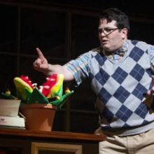 Photos: First Look at LITTLE SHOP OF HORRORS at Arizona Broadway Theatre