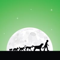 THE BOY WHO TALKED TO DOGS Comes to Adelaide Festival