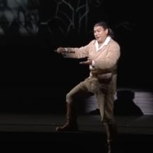 New National Theatre Will Stream DIE ZAUBERFLOTE Online For Free