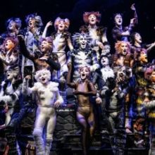 CATS On Sale At The Fox Cities Performing Arts Center This Friday
