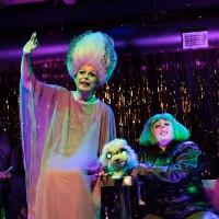 Photos: First Look at Hell in a Handbag Productions' FRANKENSTREISAND