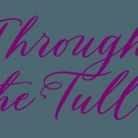 Ballet Theatre Company Announces THROUGH THE TULLE Exhibit