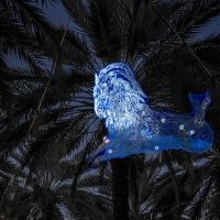 Kiki Smith, Cai Guo-Qiang, and More Featured in Inaugural Illuminate Coral Gables