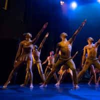 The Auditorium Theatre Presents Deeply Rooted Dance Theater, October 23