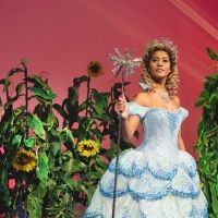 Go Live Theatre Projects Announces A Relaxed Performance of WICKED