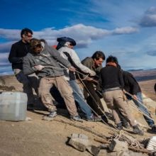 TOArts Presents NAT GEO VIRTUAL - REIMAGINING DINOSAURS