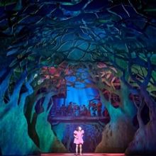 MY NEIGHBOUR TOTORO Returns to The Barbican Theatre This Autumn