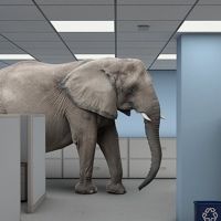 BOLD Announces First Live Theatre Events In New BOLD Elephant Venue