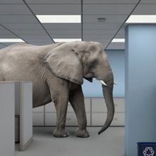 BOLD Announces First Live Theatre Events In New BOLD Elephant Venue