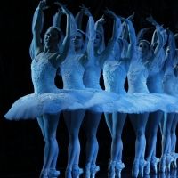 Australian Ballet Presents SUMMERTIME AT THE BALLET
