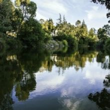 Napa Valley Museum Yountville Announces 'Living Napa River' Exhibit and Call to the C